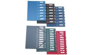 Trieur 437 EXTENDOS A4 avec 12 onglets et couleurs assorties pour documents