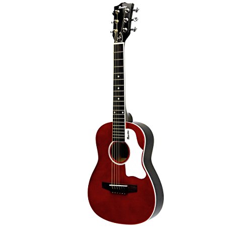 Maestro By Gibson 30