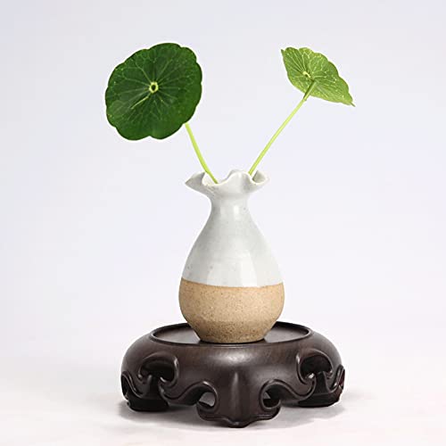 Base de bonsaï stable en ébène contre les chutes de vases - 6
