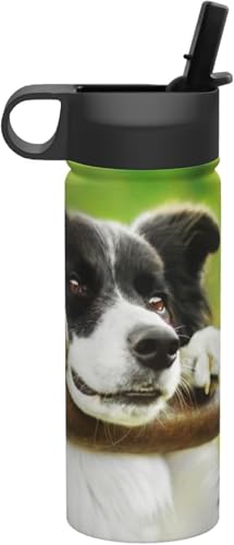 �{�[�_�[�R���[ �� �� ���� �^��f�M �ۉ� �ۗ� �X�|�[�c�{�g�� �l�C �X�e�����X�{�g�� �X�|�[�c�����Ή� �R��Ȃ� ������530ml �j�̎q ���̎q ������� �v���[���g