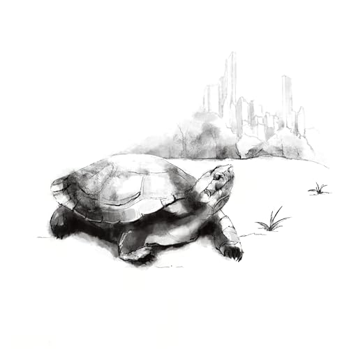 The Turtle & The Pigeon