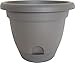 Bloem Llc LP0860 8" Lucca Pepper Planter