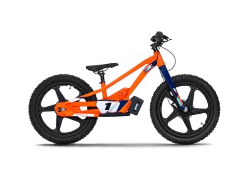 KTM Replica 20eDrive 2024
