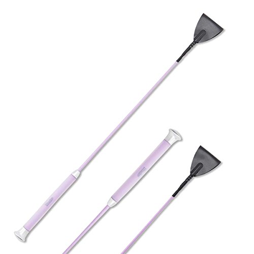 n Z QObv Z p[v npi n