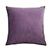 WOWEI Fundas de Cojines Terciopelo Square Color Sólido Funda de Almohada Cremallera Oculta Decoración para Hogar Sofás Camas Coche Sillas,Púrpura,65X65 CM