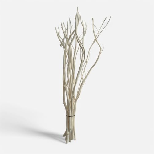 Willow Branch Diffuser Reeds, 25pcs, 10.5 inches, Natural Reed Diffuser Sticks, Decorative Branches, Essential Oil, Aromatherapy, Natural Home Decor (White)