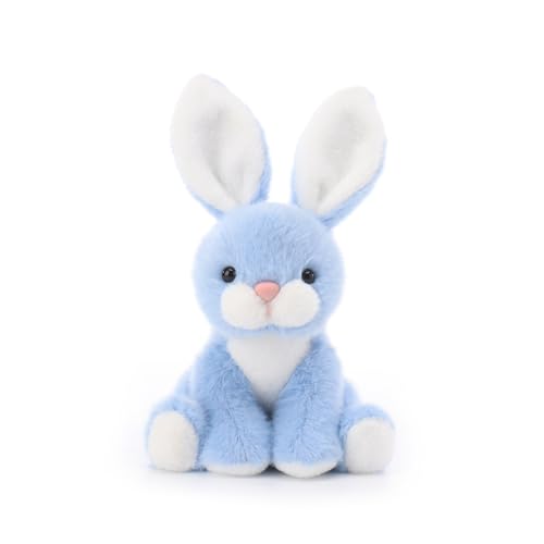 Amazon.com: Apricot Lamb: Easter