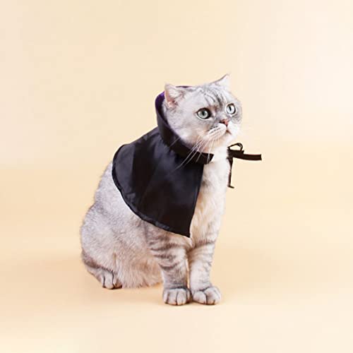 Disfraz Halloween para Perros Capa y Sombrero miniatura 5