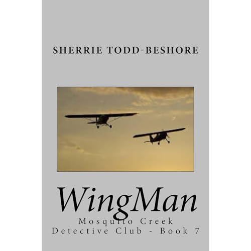 WingMan Audiolibro Por Sherrie Todd-Beshore arte de portada