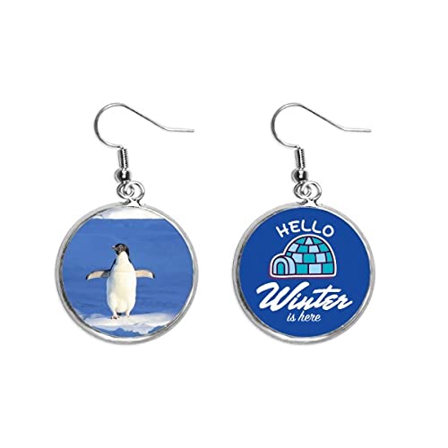 Pendientes de pingüino con gota de resina efecto hielo y gancho hipoalergénico duradero