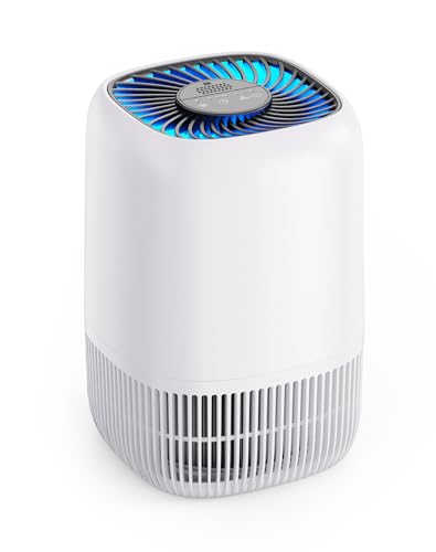 Compact Air Purifier with 360° Intake