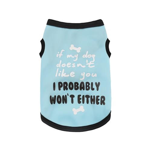 Migliora lo stile stagionale del tuo animale domestico con un