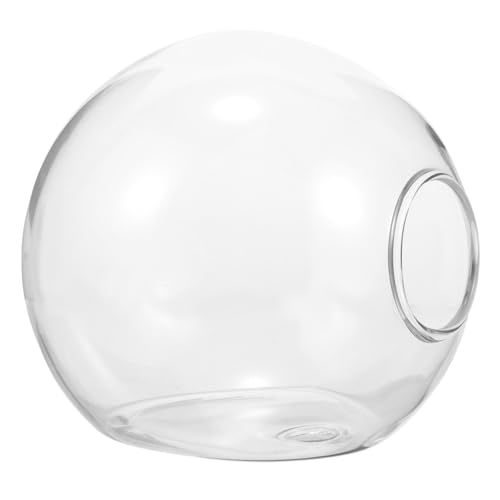 BESPORTBLE Jardinière Murale Verre Vase Hydroponique Suspendu pour Plantes Jardinière Hydroponique Murale Pot De Fleurs Verre pour Intérieur