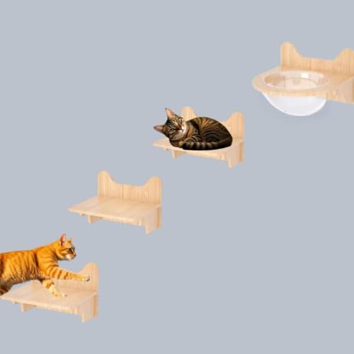 Girlmarry �L �ǎ��t���I �X�e�b�v - �L �� �~�܂�� �Ƌ� �V�� �K�i �N���C�}�[ �݂艺���z���_�[ �\�t�g�J�[�y�b�g �L �x�e �ȃX�y�[�X�A��єA�i�F��������l�R�n�E (�Z�b�g)