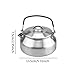 WeiLaiKeQi Stainless Steel Kettle, Camping Kettle Teapot, Compact Outdoor Large Capacity Mini Portable Kettle, Silver