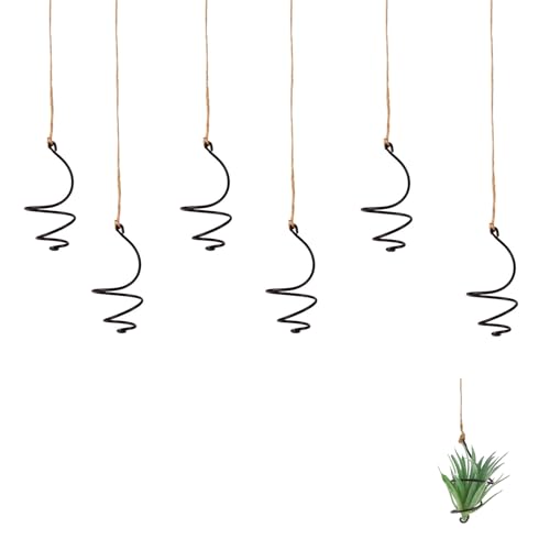 6 Pack Hanging Air Plant Holders - Adjustable Rust-Resistant Iron Rings with Low-Tangle Jute Ropes for Tillandsia, Succulents, Home & Office Decor