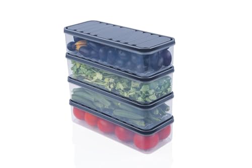 Image of TEKCOOL Air Tight Plastic Storage Containers Set for Kitchen | Pantry Organizers Kitchen Accessories Items,Fridge Storage Boxes | Leak-Proof, Durable, and Space-Saving (4, 2500ml) (1200 ML, 4)