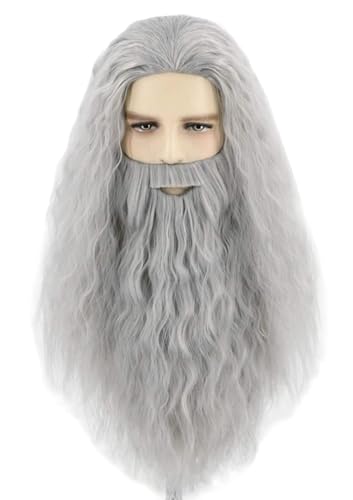 Topcosplay Perruque et Barbe Longue Blanc/Gris pour Hommes & Femmes - Sorcier Magicien Perruque pour Halloween Carnaval Déguisement (Gris)
