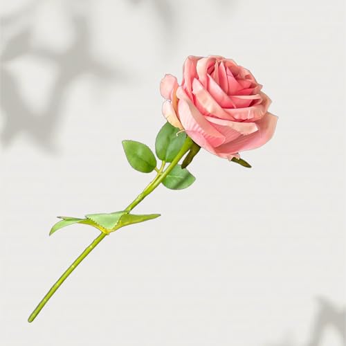  o [Y KN 1{Zbg sN ԑ o^Cf[ u[P ̓  a Ԍa7cm×42cm JƏjAwjAƏjAЏjAސEjAJXjȂǑlȃMtgɂp܂sN