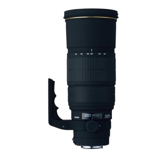 Sigma 120-300mm f/2.8 Telephoto Zoom Lens