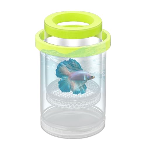 Caja de reproducción del Acuario: Tanques de reproducción para Peces - Tanques de reproducción para Peces | Caja de criador de flotantes | Separador de incubadora Betta | Tanque de cría de acuar