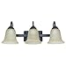 Feit Electric 73804 3-Light Led Vanity Fixture, Oil Rubbed Bronze, 21-3/4", Uses (3) 24W Integrated Led Modules, 25.75 " x 22.125 " x 18.25"