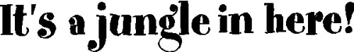 EYE CANDY SIGNS It's A Jungle in Here!.Jungle Wall Decal Quote Words Removable Jungle Home Wall Sticker Lettering, Black