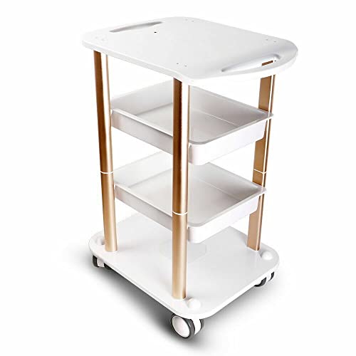 Esthetician Cart with Wheels Utility Salon Rolling Trolley, Two Tiers Beauty Salon Stand Rolling Cart SPA Beauty Machine Holder Trolley Tool, Manicure Facial Tool Holder Station
