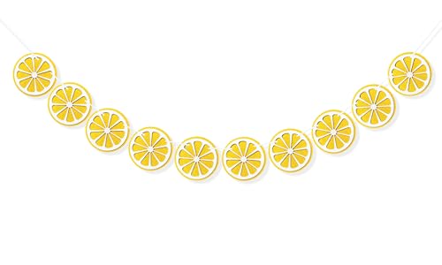 JINZYNIX Lemon Garland Banner for Lemonade Stand Supplies