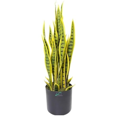 Artificial Snake Plant – 70cm Faux Sansevieria with 21 Leaves in ...