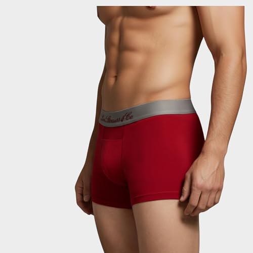 Image of Levi's Cotton Elite Trunk | Premium Men's Trunk Underwear | 4-Way Stretch | Outer Elastic Waistband | H-Pocket | Style 072 | Pack of 1