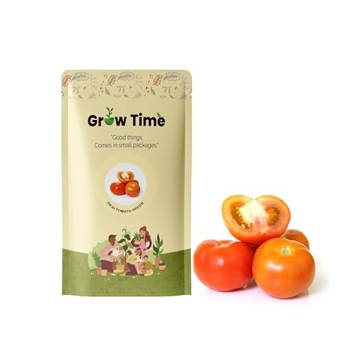 Image of Desi Tomato Vegetable Seeds, Vegetable Seeds for Home Gardening, Vegetable Planting Seeds for Kitchen, Tomato Seeds (Pack of 2g) (Red, Desi Tomato)
