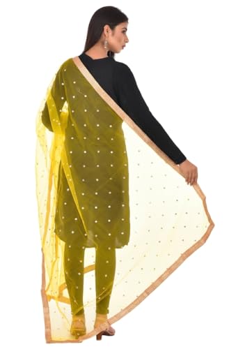 Image of YOUTHQUAKE Women's Net Embroidered Full Size Dupatta With 4 Side Golden Lace