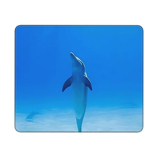 �l�C �C���J�ƊC (2) �}�E�X�p�b�h �Q�[�~���O�}�E�X�p�b�h �I�t�B�X�f�X�N�}�b�g �ϋv�� ���o�[�x�[�X ����~�ߝ������H �L�[�{�[�h�p�b�h �}�E�X�p�b�h