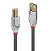 Price comparison product image LINDY 2m USB 2.0 Type A to B Cable, Cromo Line