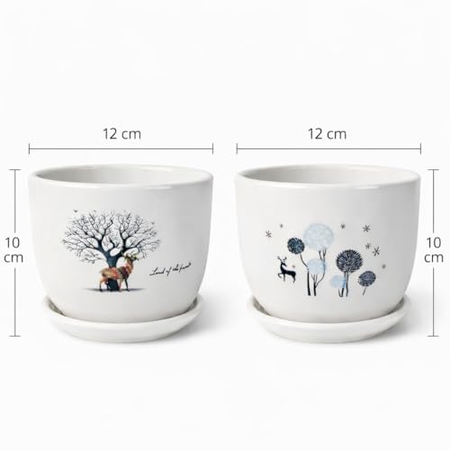 Image of Xtore Charming Ceramic Planter Pots with Drain Tray | Set of 2 Decorative Flower Pots for Indoor Plants, Balcony & Tabletop Styling (Pack of 2, Planters only)