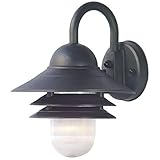Acclaim 82BK Mariner Collection 1-Light Wall Mount Outdoor Light Fixture, Matte Black