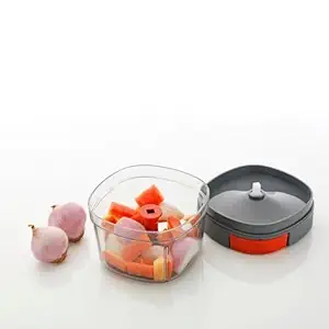 VEDANTA ENTERPRISE Kitchen 2 in 1 Vegetable & Dry Fruit Quick & Efficient Square Handy Chopper 650 ML 1 PCS