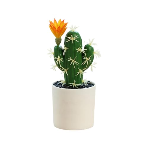 tFCNT{eAAlHT{e - tFCNA,fXNIp̏ȐlHAAXܑp̃tFCNA