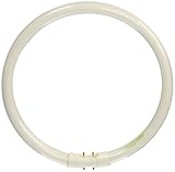 ProLume FC22T5/835 109080 FC22 T5 9IN Circline 3500K, 20 Piece