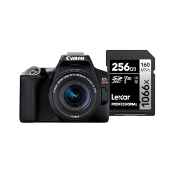 Canon Câmera Digital EOS Rebel SL3 (BKUS) 1855F4STM BR kit com Cartão de Memória Lexar Silver 256GB