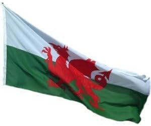 Premium quality WELSH DRAGON FLAG 8FT X 5FT