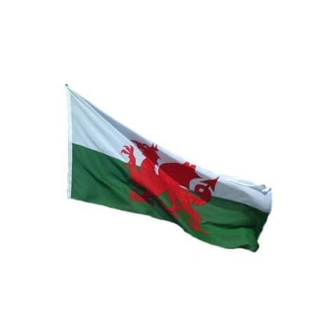 Premium quality WELSH DRAGON FLAG 8FT X 5FT Cover
