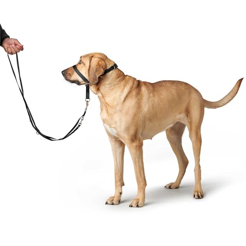 HUNTER Seguimi - Nailon Bozal per Cani