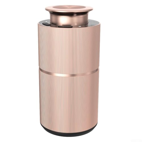Lastdaytime Ambientador para coche, difusor de aromaterapia para coche, difusor atomizador de aceite esencial sin agua de 20 ml, metal, silencioso (