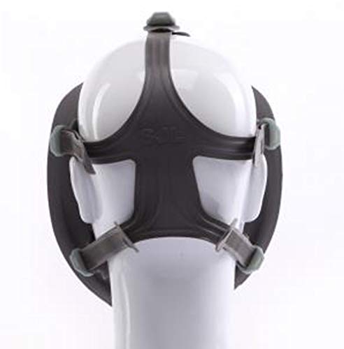 Full Face Respirator mask,Gas Mask with Activated Carbon Air Filter, Protect Against Gas,Paint,Dust,Chemicals