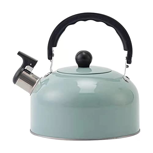 Top 10 Best Teapot For Boiling Water Reviews & Buying Guide Katynel