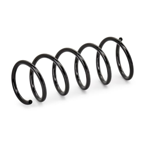 Ressort de suspension avant pour eliminer les bruits sur DACIA DUSTER