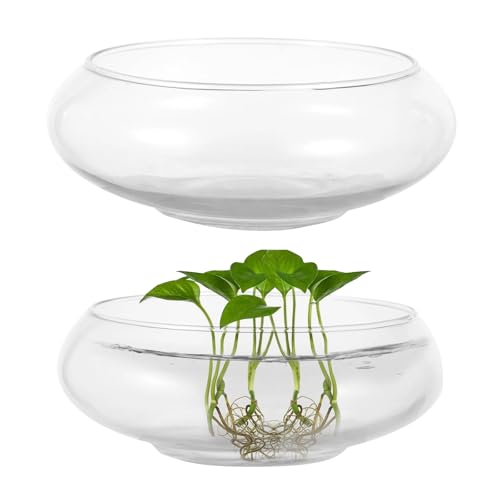 2 PCS Round Glass Vase Bowl, 6
