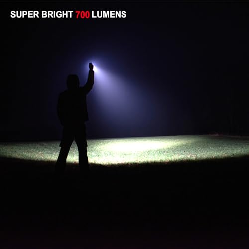 ACEBEAM Rider RX 700 High Lumens LED Flashlight Rechargeable, Pocket EDC AA Flashlight with Clip, Super Bright Small Mini Flash Light, 519A-V1 LED 90+ High CRI Flashlight for Camping, Emergency, Home